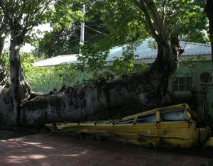 Hurricane_David_Goliath