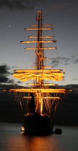 Roseau_Amsterdam_Nacht